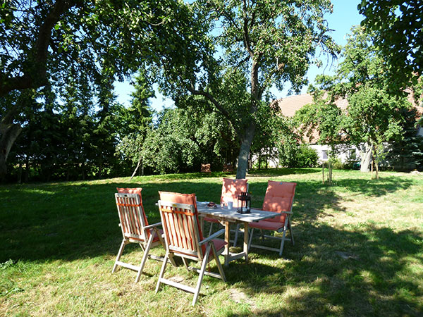 Obstgarten Mit Tisch