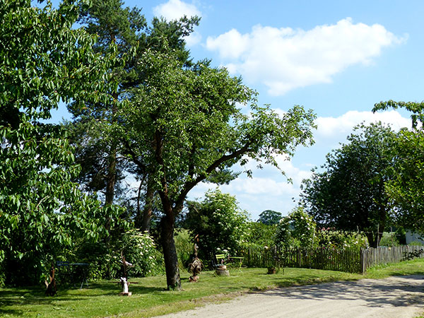 Ostseite Mit Bauerngarten