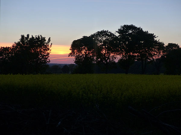 Sauna Aussicht Abends