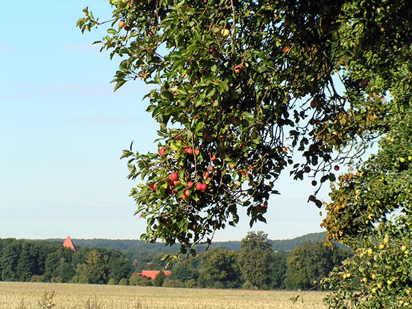 Sicht Zum Dorf