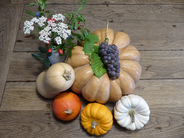 Kulinarik: Herbst
