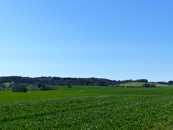 Görzhausen 1