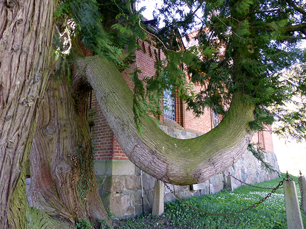 Görzhausen 2