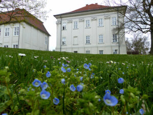 Hohenzieritz Seitenblick