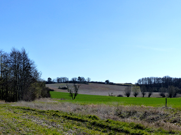 Malchiner See 4