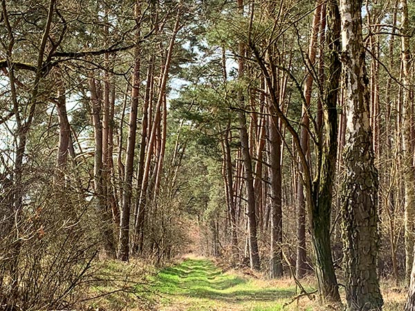 Ruetzefelder See 2
