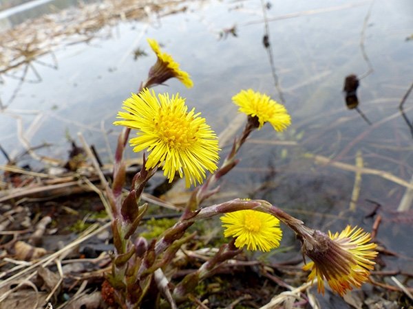 Tiefwarensee 8