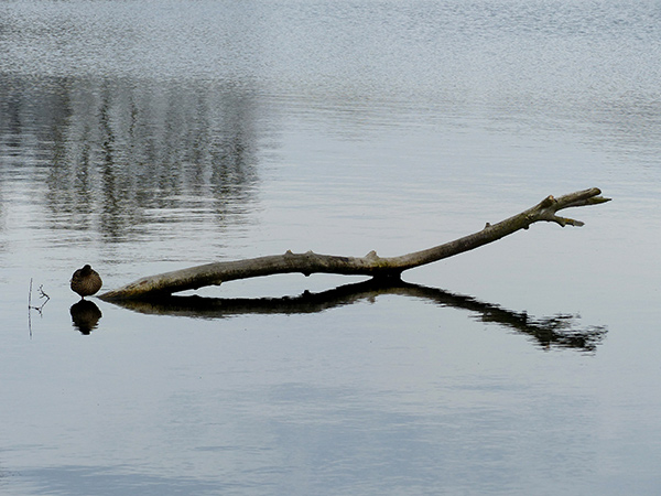 Tiefwarensee 9