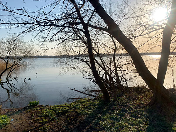 Torgelower See 3