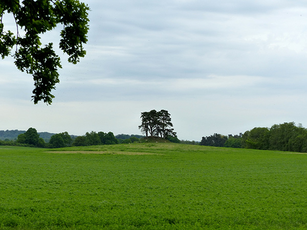 Havelquelle 4