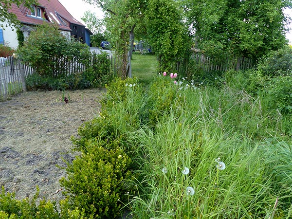 06 Gästebeet 2023