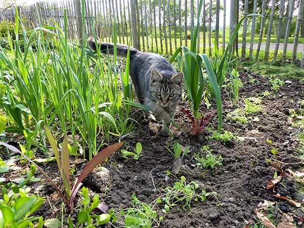 24 Garten April 0