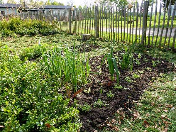 24 Garten April 1