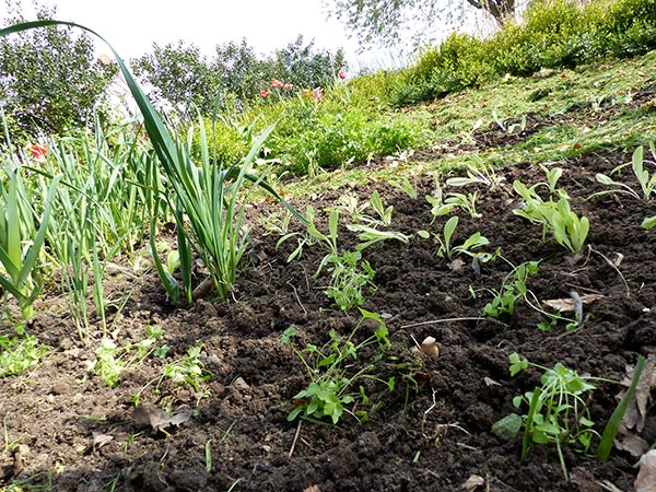 24 Garten April 2