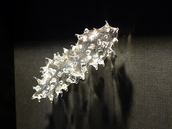 Ausstellung Regine 3