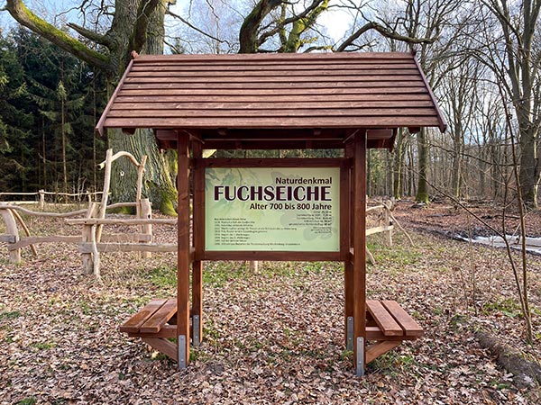 Fuchseiche 1