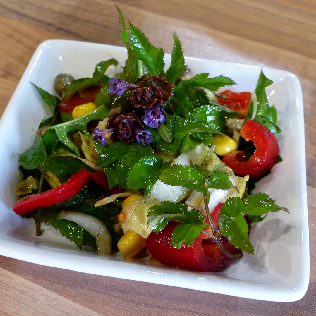 Wildkräutersalat