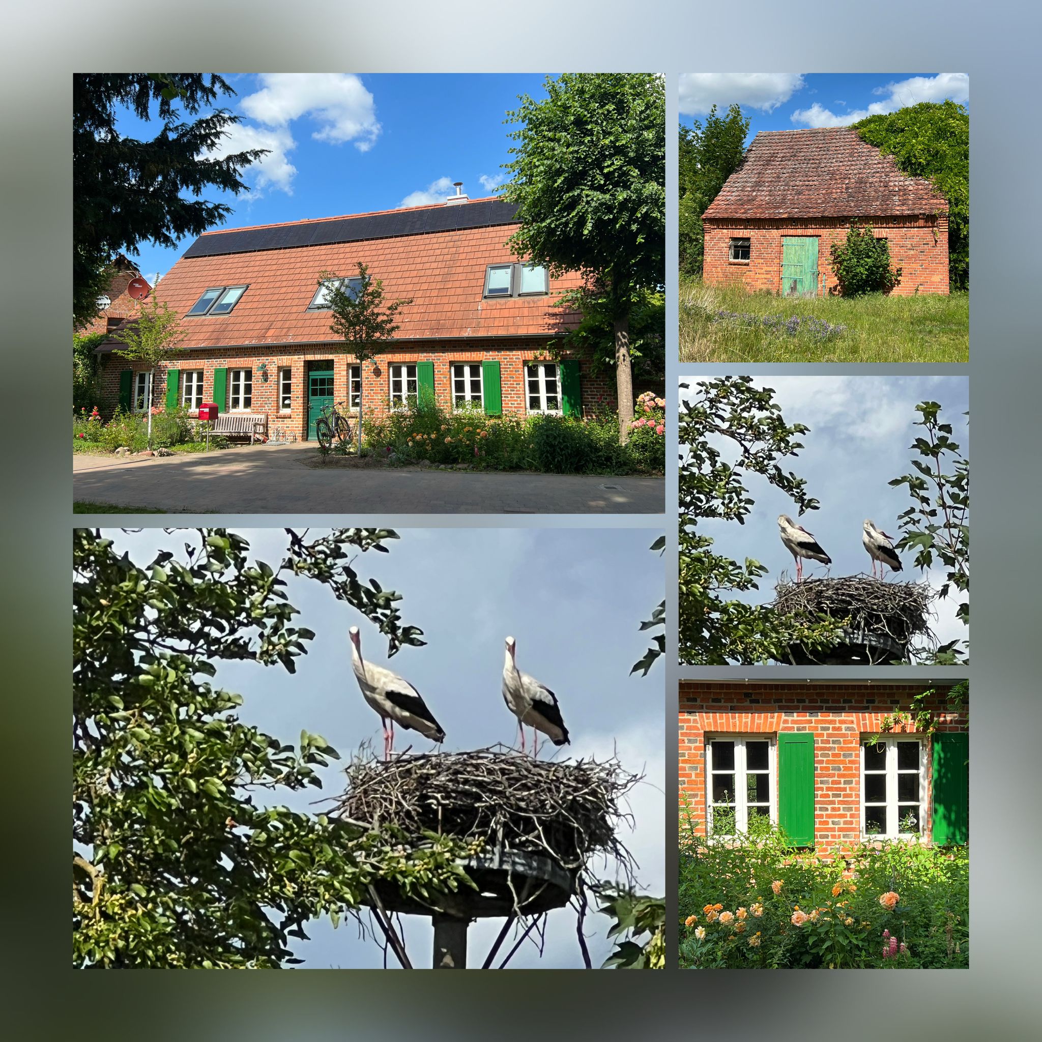 Hof Sorgenlos Hausgast 10