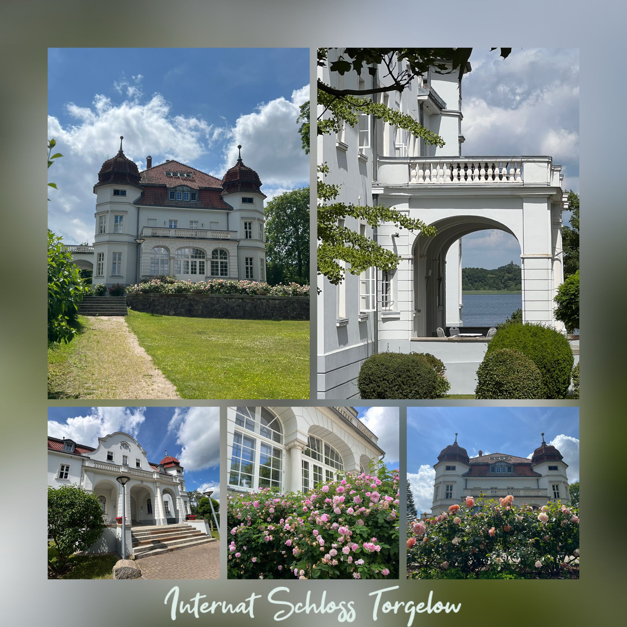 Hof Sorgenlos Hausgast 11