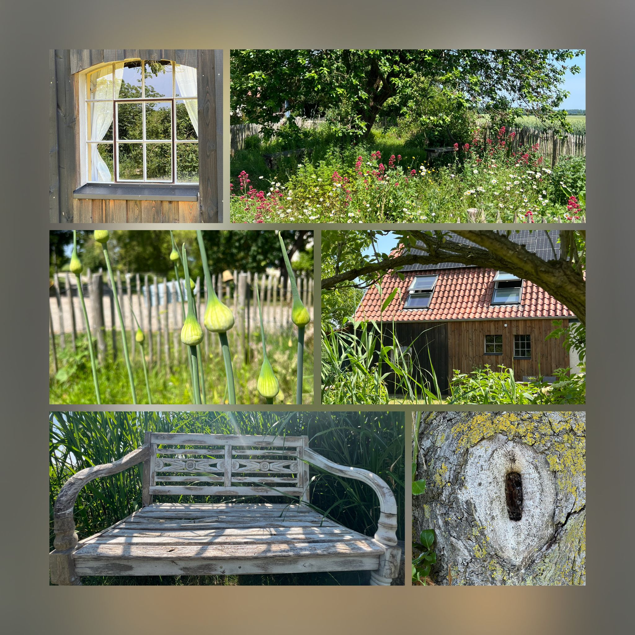 Hof Sorgenlos Hausgast 3