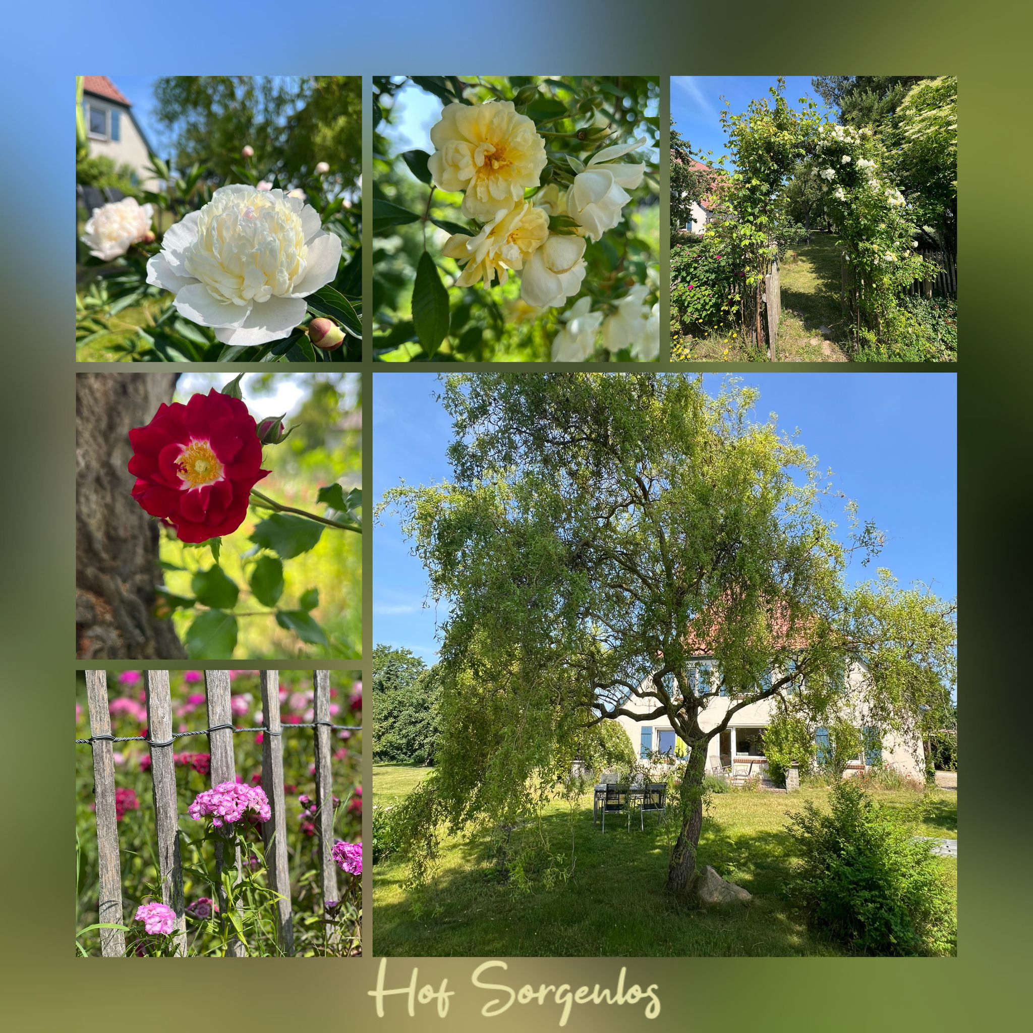 Hof Sorgenlos Hausgast 4