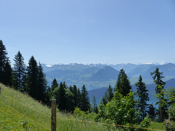 Rigi Alpen
