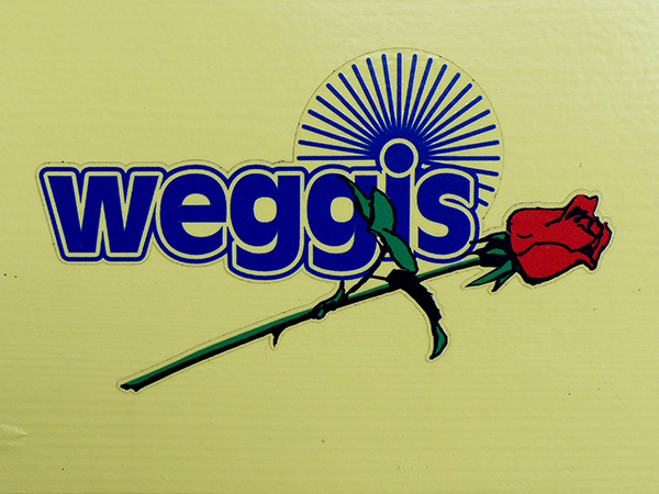 Weggis Logo