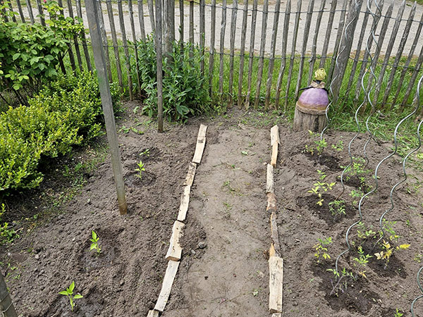 Gaestebeet 2025 3